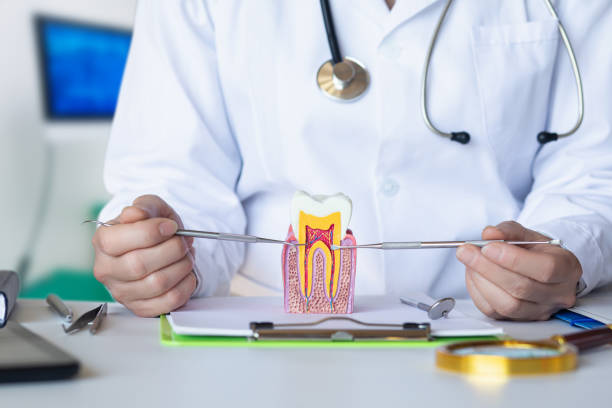 Best Emergency Dentist for Knocked-Out Tooth in North Charleroi, PA